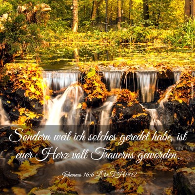 Picture 03 - Johannes 16:6 LUTH1912 - Sondern weil ich solches geredet habe, ist euer - Bible Verse Picture