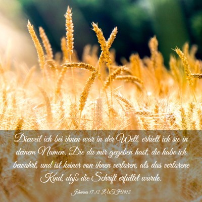 Picture 03 - Johannes 17:12 LUTH1912 - Dieweil ich bei ihnen war in der Welt, erhielt - Bible Verse Picture