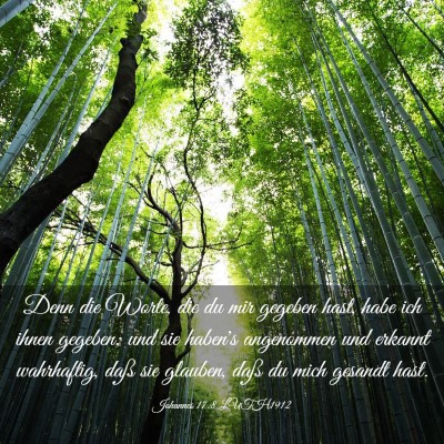 Picture 03 - Johannes 17:8 LUTH1912 - Denn die Worte, die du mir gegeben hast, habe ich - Bible Verse Picture