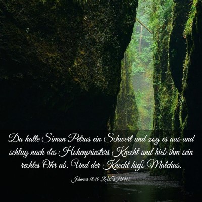 Picture 03 - Johannes 18:10 LUTH1912 - Da hatte Simon Petrus ein Schwert und zog es aus - Bible Verse Picture