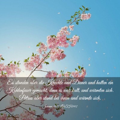 Picture 03 - Johannes 18:18 LUTH1912 - Es standen aber die Knechte und Diener und hatten - Bible Verse Picture