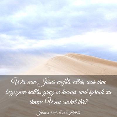 Picture 03 - Johannes 18:4 LUTH1912 - Wie nun Jesus wußte alles, was ihm begegnen - Bible Verse Picture