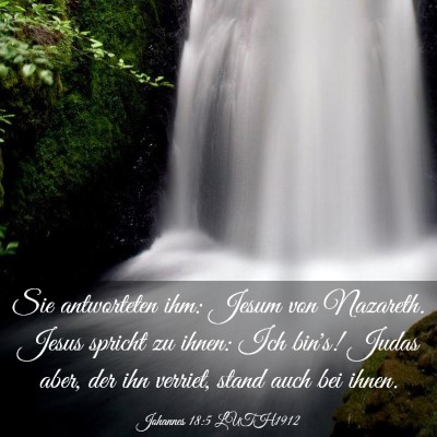 Picture 03 - Johannes 18:5 LUTH1912 - Sie antworteten ihm: Jesum von Nazareth. Jesus - Bible Verse Picture