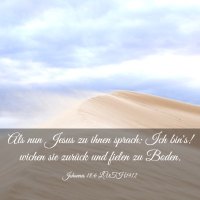 Picture 03 - Johannes 18:6 LUTH1912 - Als nun Jesus zu ihnen sprach: Ich bin's! wichen - Bible Verse Picture