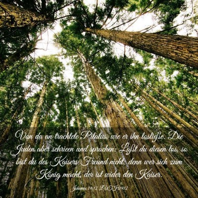 Picture 03 - Johannes 19:12 LUTH1912 - Von da an trachtete Pilatus, wie er ihn - Bible Verse Picture