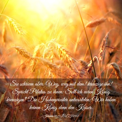 Picture 03 - Johannes 19:15 LUTH1912 - Sie schrieen aber: Weg, weg mit dem! kreuzige - Bible Verse Picture