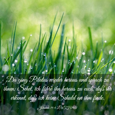 Picture 03 - Johannes 19:4 LUTH1912 - Da ging Pilatus wieder heraus und sprach zu - Bible Verse Picture
