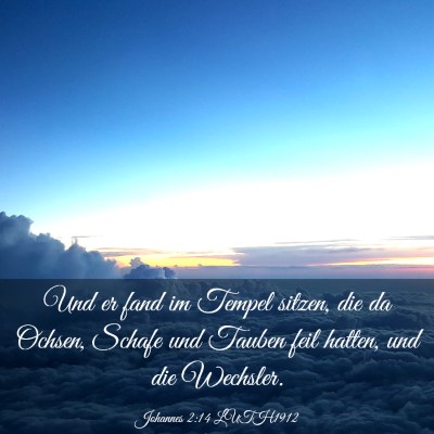 Picture 03 - Johannes 2:14 LUTH1912 - Und er fand im Tempel sitzen, die da Ochsen, - Bible Verse Picture