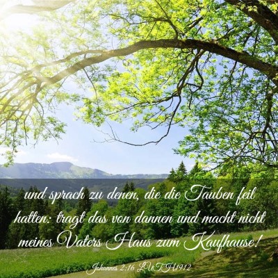 Picture 03 - Johannes 2:16 LUTH1912 - und sprach zu denen, die die Tauben feil hatten: - Bible Verse Picture