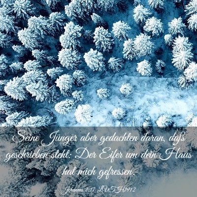 Picture 03 - Johannes 2:17 LUTH1912 - Seine Jünger aber gedachten daran, daß - Bible Verse Picture