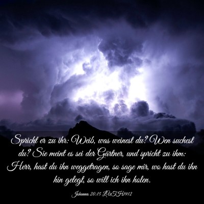 Picture 03 - Johannes 20:15 LUTH1912 - Spricht er zu ihr: Weib, was weinest du? Wen - Bible Verse Picture