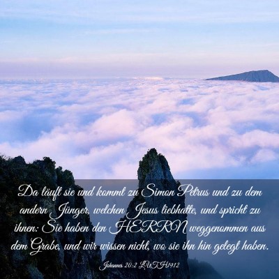 Picture 03 - Johannes 20:2 LUTH1912 - Da läuft sie und kommt zu Simon Petrus und zu - Bible Verse Picture