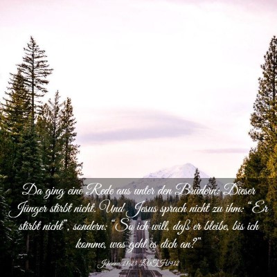 Picture 03 - Johannes 21:23 LUTH1912 - Da ging eine Rede aus unter den Brüdern: Dieser - Bible Verse Picture
