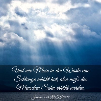 Picture 03 - Johannes 3:14 LUTH1912 - Und wie Mose in der Wüste eine Schlange erhöht - Bible Verse Picture