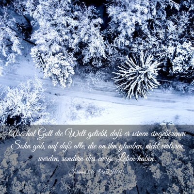 Picture 03 - Johannes 3:16 LUTH1912 - Also hat Gott die Welt geliebt, daß er seinen - Bible Verse Picture