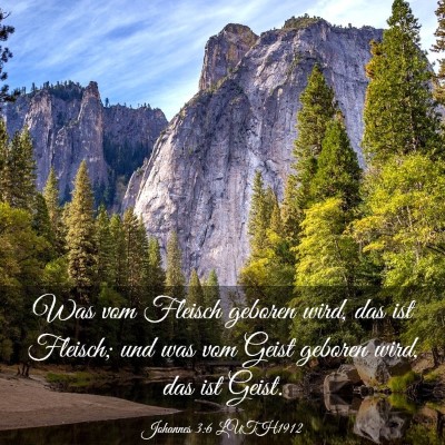 Picture 03 - Johannes 3:6 LUTH1912 - Was vom Fleisch geboren wird, das ist Fleisch; - Bible Verse Picture