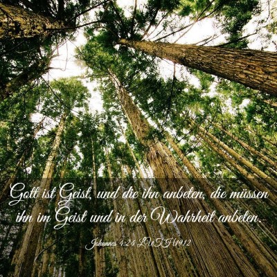 Picture 03 - Johannes 4:24 LUTH1912 - Gott ist Geist, und die ihn anbeten, die müssen - Bible Verse Picture