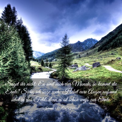 Picture 03 - Johannes 4:35 LUTH1912 - Saget ihr nicht: Es sind noch vier Monate, so - Bible Verse Picture