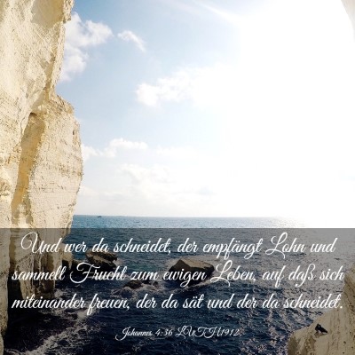 Picture 03 - Johannes 4:36 LUTH1912 - Und wer da schneidet, der empfängt Lohn und - Bible Verse Picture