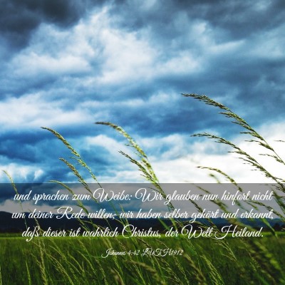 Picture 03 - Johannes 4:42 LUTH1912 - und sprachen zum Weibe: Wir glauben nun hinfort - Bible Verse Picture