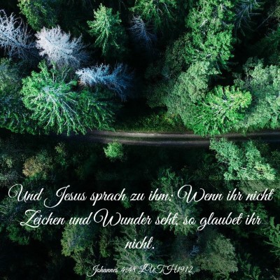 Picture 03 - Johannes 4:48 LUTH1912 - Und Jesus sprach zu ihm: Wenn ihr nicht Zeichen - Bible Verse Picture