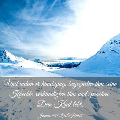 Picture 03 - Johannes 4:51 LUTH1912 - Und indem er hinabging, begegneten ihm seine - Bible Verse Picture