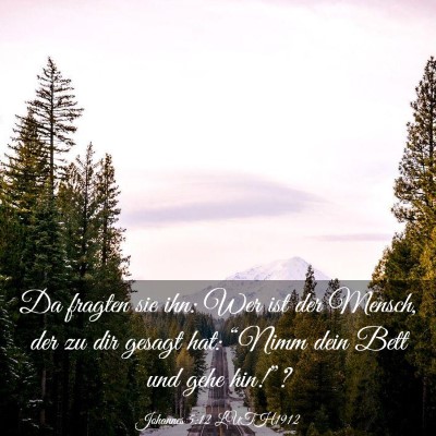 Picture 03 - Johannes 5:12 LUTH1912 - Da fragten sie ihn: Wer ist der Mensch, der zu - Bible Verse Picture