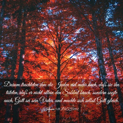 Picture 03 - Johannes 5:18 LUTH1912 - Darum trachteten ihm die Juden viel mehr nach, - Bible Verse Picture