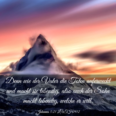 Picture 03 - Johannes 5:21 LUTH1912 - Denn wie der Vater die Toten auferweckt und macht - Bible Verse Picture
