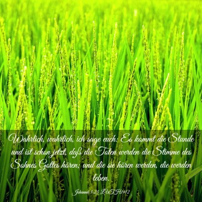 Picture 03 - Johannes 5:25 LUTH1912 - Wahrlich, wahrlich, ich sage euch: Es kommt die - Bible Verse Picture