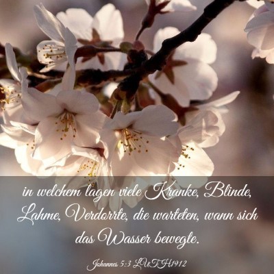Picture 03 - Johannes 5:3 LUTH1912 - in welchem lagen viele Kranke, Blinde, Lahme, - Bible Verse Picture