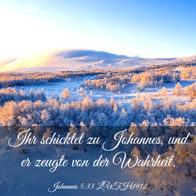 Picture 03 - Johannes 5:33 LUTH1912 - Ihr schicktet zu Johannes, und er zeugte von der - Bible Verse Picture