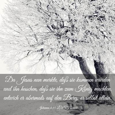 Picture 03 - Johannes 6:15 LUTH1912 - Da Jesus nun merkte, daß sie kommen würden und - Bible Verse Picture
