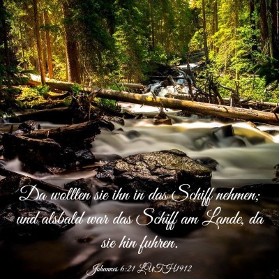 Picture 03 - Johannes 6:21 LUTH1912 - Da wollten sie ihn in das Schiff nehmen; und - Bible Verse Picture