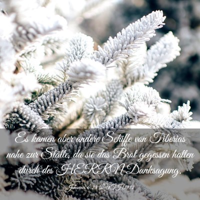 Picture 03 - Johannes 6:23 LUTH1912 - Es kamen aber andere Schiffe von Tiberias nahe - Bible Verse Picture