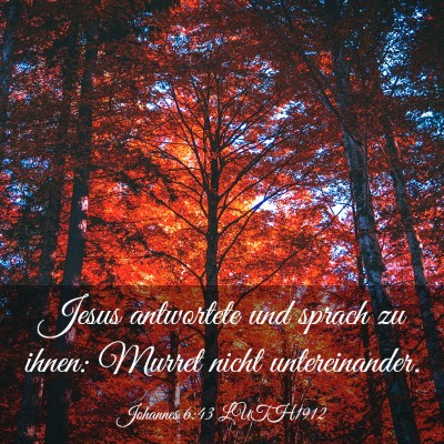 Picture 03 - Johannes 6:43 LUTH1912 - Jesus antwortete und sprach zu ihnen: Murret - Bible Verse Picture