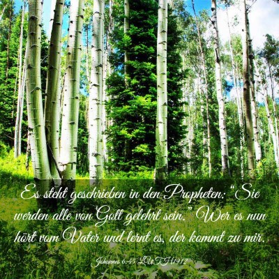 Picture 03 - Johannes 6:45 LUTH1912 - Es steht geschrieben in den Propheten: “Sie - Bible Verse Picture