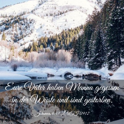 Picture 03 - Johannes 6:49 LUTH1912 - Eure Väter haben Manna gegessen in der Wüste - Bible Verse Picture