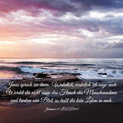 Picture 03 - Johannes 6:53 LUTH1912 - Jesus sprach zu ihnen: Wahrlich, wahrlich ich - Bible Verse Picture