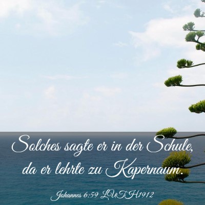 Picture 03 - Johannes 6:59 LUTH1912 - Solches sagte er in der Schule, da er lehrte zu - Bible Verse Picture