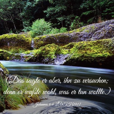 Picture 03 - Johannes 6:6 LUTH1912 - (Das sagte er aber, ihn zu versuchen; denn er - Bible Verse Picture