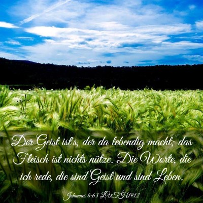 Picture 03 - Johannes 6:63 LUTH1912 - Der Geist ist's, der da lebendig macht; das - Bible Verse Picture