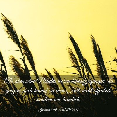 Picture 03 - Johannes 7:10 LUTH1912 - Als aber seine Brüder waren hinaufgegangen, da - Bible Verse Picture
