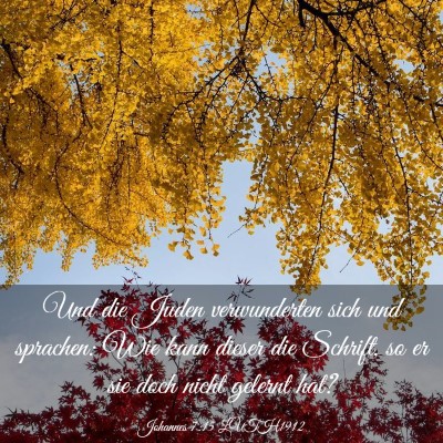 Picture 03 - Johannes 7:15 LUTH1912 - Und die Juden verwunderten sich und sprachen: Wie - Bible Verse Picture