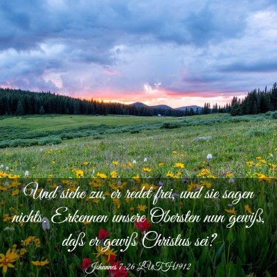 Picture 03 - Johannes 7:26 LUTH1912 - Und siehe zu, er redet frei, und sie sagen - Bible Verse Picture