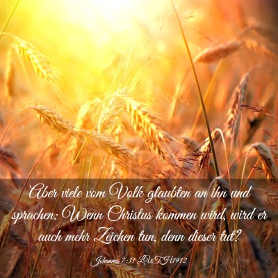 Picture 03 - Johannes 7:31 LUTH1912 - Aber viele vom Volk glaubten an ihn und sprachen: - Bible Verse Picture