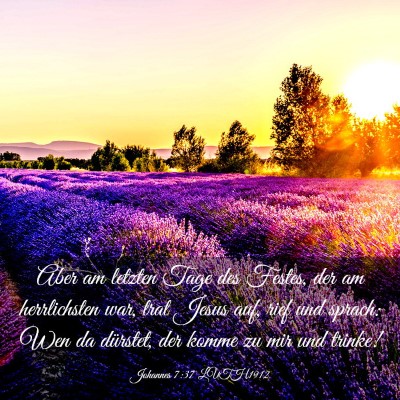 Picture 03 - Johannes 7:37 LUTH1912 - Aber am letzten Tage des Festes, der am - Bible Verse Picture