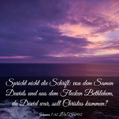 Picture 03 - Johannes 7:42 LUTH1912 - Spricht nicht die Schrift: von dem Samen Davids - Bible Verse Picture