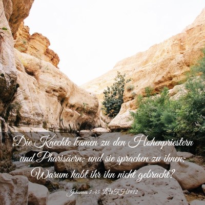 Picture 03 - Johannes 7:45 LUTH1912 - Die Knechte kamen zu den Hohenpriestern und - Bible Verse Picture