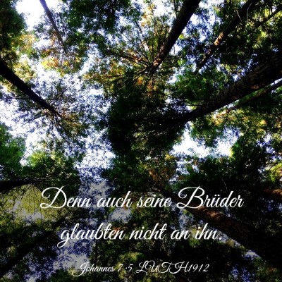 Picture 03 - Johannes 7:5 LUTH1912 - Denn auch seine Brüder glaubten nicht an - Bible Verse Picture